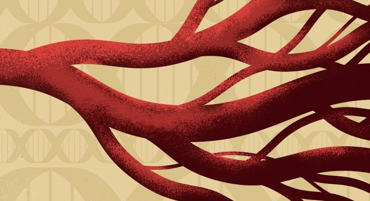 Blood vessels and DNA double-helices