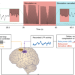 Brain–machine interface - Latest research and news | Nature