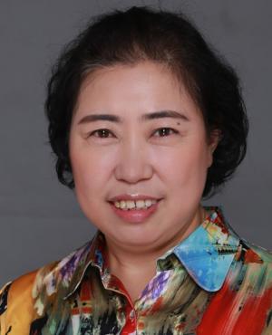 Professor Jingmin Wang