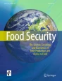 food security essay