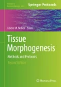 洋書 MORPHOGENESIS Tissue Morphogenesis: Methods and Protocols | SpringerLink