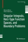 Singular Integrals, Herz-Type Function Spaces, and Boundary