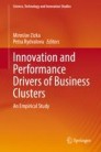 Innovation and Performance Drivers of Business Clusters