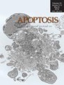 Front cover of Apoptosis