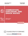 Front cover of Combustion, Explosion, and Shock Waves
