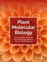 Front cover of Plant Molecular Biology