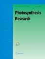 photosynthesis light research paper photosynthesis light research paper