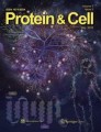 Protein & Cell