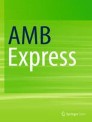 AMB Express