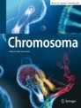 Front cover of Chromosoma