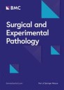 Surgical and Experimental Pathology