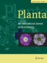 Front cover of Planta