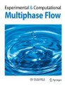 Front cover of Experimental and Computational Multiphase Flow