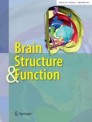 Front cover of Brain Structure and Function