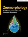 Front cover of Zoomorphology