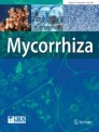 Front cover of Mycorrhiza