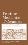 Fracture Mechanics and Statistical 洋書 レア 本