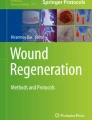 Scratch Wound Healing Assay | Springer Nature Link