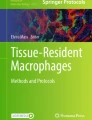 Highly multiplexed spatial profiling with CODEX: bioinformatic analysis ...