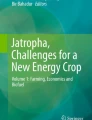 research paper on jatropha biodiesel