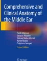 Normal Histology of the Eustachian Tube, Middle Ear, and Mastoid ...
