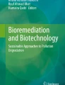 Plant and soil transcriptomics reveal the consequences of ...