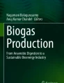 biogas research paper pdf