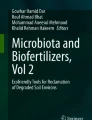 research paper on biofertilizer pdf
