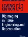 Bioengineering Applications of Light Microscopy and Fluorescence ...