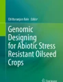 genetically modified soybean research paper