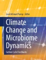 Metabarcoding and Metagenomics in Soil Ecology Research: Achievements ...