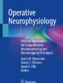 Development of a prototype implantable pulse generator for a spinal ...