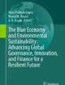 The transition to a sustainable blue economy explored through ...