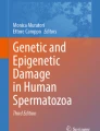 Emerging roles of stem cells and exosomes in male reproductive injury ...
