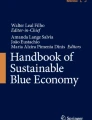 The transition to a sustainable blue economy explored through ...