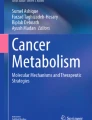 Metabolic Plasticity and Cancer Stem Cell Metabolism: Exploring the ...