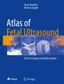 First-Trimester Ultrasound: Practice Guidelines | Springer Nature Link