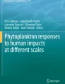 plankton diversity research paper