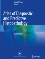 Textbook of Pathologic Anatomy: For Medical Students | Springer Nature Link