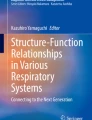 Diffusing Capacity of the Lung | Springer Nature Link
