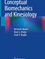 Fundamentals of Biomechanics | Springer Nature Link