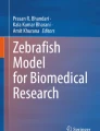 zebrafish research