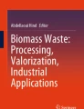 Fueling the future: biomass applications for green and sustainable ...