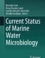 marine pollution research paper