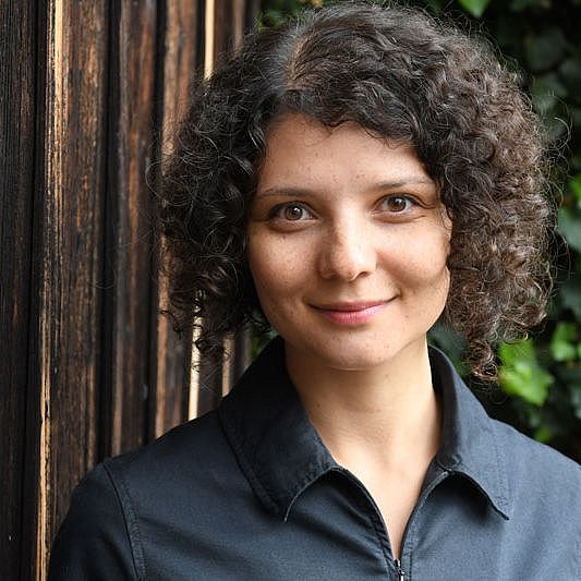 reasons-and-explanation-springerlink