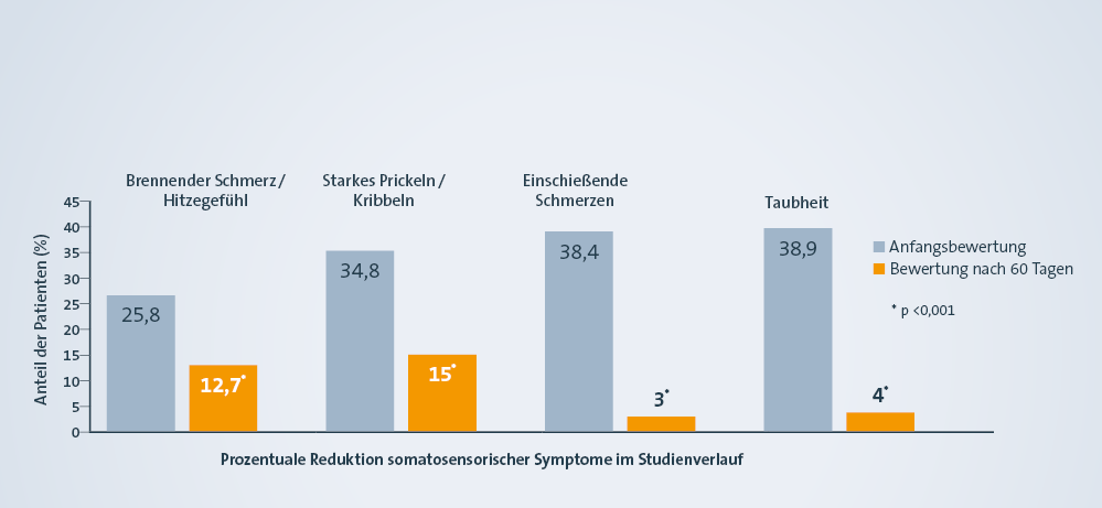 Teaserbild 5